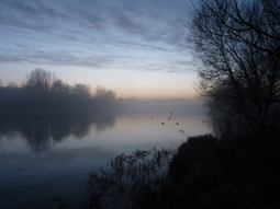 Photo8